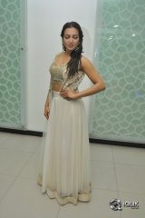 Catherine Tresa At Goutham Nanda Movie Success Meet